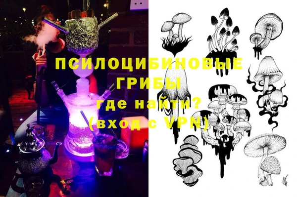 МДПВ Лагань