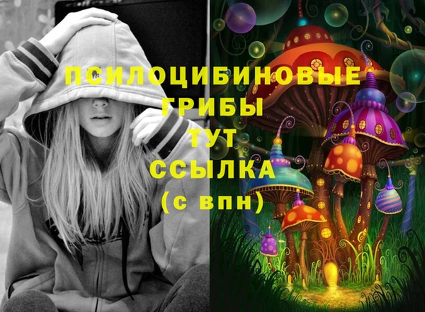 Альфа ПВП Ладушкин