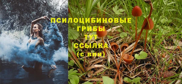 Альфа ПВП Ладушкин